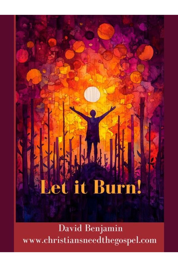 Let it Burn cover