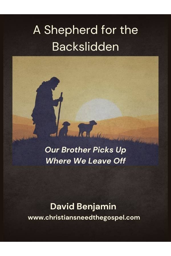 A Shepherd for the Backslidden cover